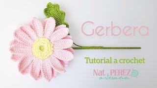 Gerbera o Margarita Africana a crochet [upl. by Camilo899]