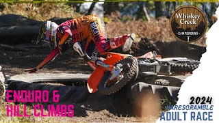 2024 Whiskey Creek Adult D14 Harescramble [upl. by Alaric]