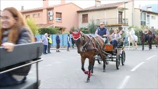 Cavallada de Céret 2019 [upl. by Atwater]