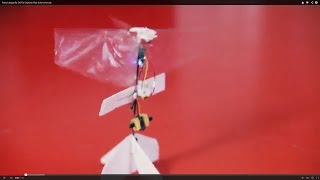 Robot dragonfly DelFly Explorer flies autonomously [upl. by Mcnalley]