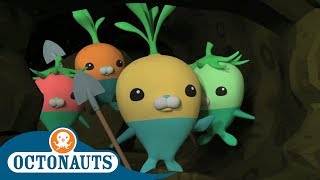 Octonauts  The Vegimals Save the Day  Full Episodes  Cartoons for Kids [upl. by Ligriv]