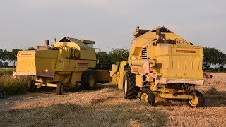 2x New Holland Clayson 8070  tarwe dorsen [upl. by Inoj]