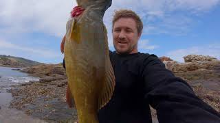 Best Fish to Catch n Cook in Australia [upl. by Yuji]