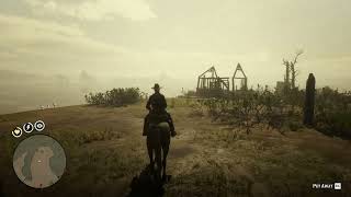 96 American White Pelican location RDR2 [upl. by Brindle794]