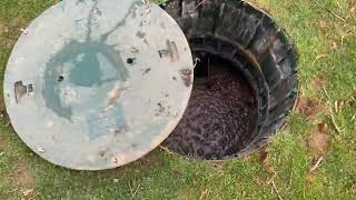 So You Have A Two Chamber Septic Tank With A Pump Chamber  What does That Mean For You [upl. by Ardnola721]