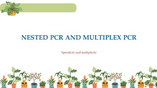 Nested Polymerase Chain Reaction  Diagnosis  Validation  Specificity  Multiplex PCR [upl. by Conlee]