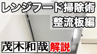 【キッチン掃除】パナソニック製レンジフード整流版にべったりついた油汚れをラクに掃除する方法【茂木和哉解説】 [upl. by Yroj]