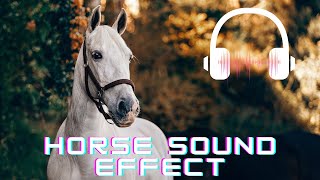 Horse sound effect  Horse neighing sounds Horse sounds  What sounds does a horse make [upl. by Ecnahc]