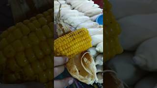 American sweet corn shorts viralvideo recipe [upl. by Billy]