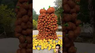 🍏Fruit pairing🍎 fruit satisfying mangofood amazing viralshortshorts trendingyoutubeshorts [upl. by Spieler493]