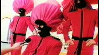 TISM  Interview Big Day Out Perth Australia February 4th 1996 [upl. by Aihtniroc]