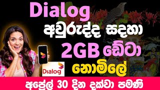 Dialog අවුරුදු free data  නොමිලේ 2GB දක්වා Data දැන්ම ලබා ගන්න Dialog data offer  SL TECH WADDA [upl. by Aihsemot]