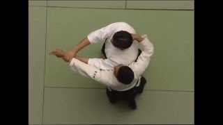 All of Aikido 2 [upl. by Sedberry]