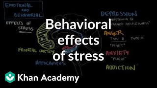 Behavioral effects of stress  Processing the Environment  MCAT  Khan Academy [upl. by Euqinemod161]