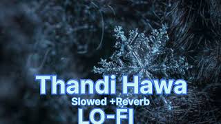 Thandi Hawa Official Video Ashu Dhakal Mahi Dhaka Ashu Twinkle  New Haryanvi Songs Haryanavi 2024 [upl. by Evette718]