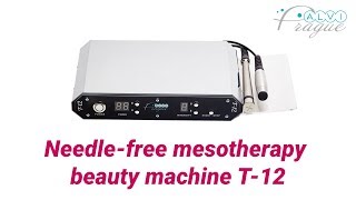 Needlefree mesotherapy beauty machine T12 Beauty equipment by Alvi Prague [upl. by Leamse]