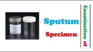 Microbiology 🔤  Examination of Sputum Specimen [upl. by Yraeht646]