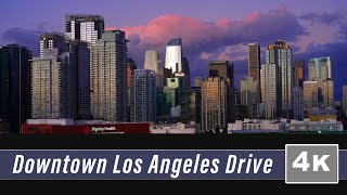 Los Angeles Downtown [upl. by Reve373]