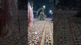 Maa Sherawali 2024shorts happy navratri new2024 video starts [upl. by Ainyt]