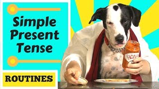 The Present Simple Tense  Carters breakfast routine [upl. by Dann419]