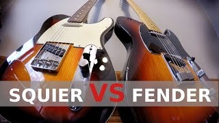 SQUIER vs FENDER  Telecaster Tone Comparison [upl. by Liryc]