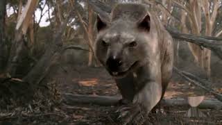 Death Of The Megabeasts Documentary  Australia The First Four Billion Years  Strange Creatures [upl. by Yduj263]