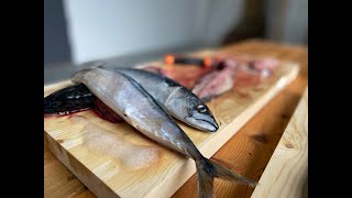 Sløye og filetere fisk [upl. by Stanleigh453]