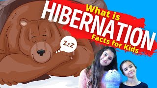 What is Hibernation  Hibernation For Kids [upl. by Huldah]