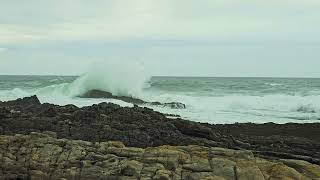 South AfricaTsitsikamma Natural Park enjoying moments of tranquility and power of nature [upl. by Cohlier]