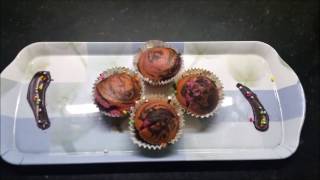 Chocolate Cupcakes  Chocolate Muffin  Dessert Eggless Cake  Gourmet Tv  The Best Indian Recipes [upl. by Alicul]