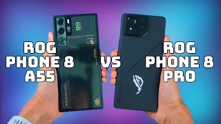 ROG Phone 8 vs ROG Phone 8 Pro [upl. by Minnaminnie380]