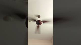 Atomberg Efficio Alpha 1200mm BLDC Motor Classic Ceiling fan with Remote Control 😀 atombergfan [upl. by Nnyleimaj609]