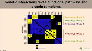 Essential Gene Identification in Human Cancer  Jason Moffat [upl. by Siegler]