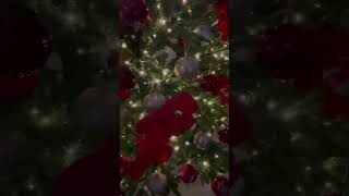 Walking around the Christmas tree 🎄early Christmas decoration [upl. by Bullion]