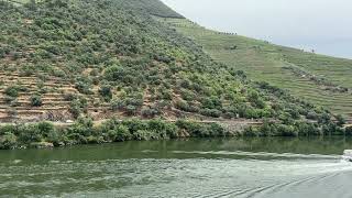 Cruise Boats on the Douro River in the Douro Valley [upl. by Gnilrad]