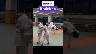 Randori judo au kodokan  Raph mp4 [upl. by Narra]