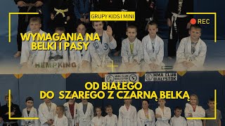 Wymagania egzaminacyjne dla dzieci od białego do szaroczarnego pasa BJJ w MMA CLUB BIAŁYSTOK [upl. by Dera892]