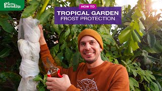 Preparing TROPICAL garden plants for FROSTS [upl. by Eile]