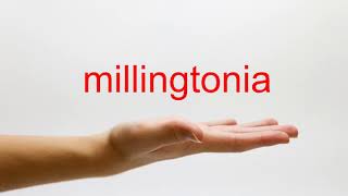 How to Pronounce millingtonia  American English [upl. by Frere]