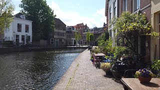 Walking in Schiedam 🌤️ Rotterdam Metro Area  The Netherlands  4K60 [upl. by Nnahs]