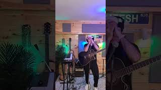 Harp solo Live stream clip 102525 harmonica instrumental acoustic livelooping guitar looperx [upl. by Dumanian]