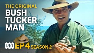 More survival tips from the Top End 🤠🗺️  Bush Tucker Man  S2 EP4  ABC Australia [upl. by Reppart]