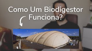 Como Um Biodigestor Funciona [upl. by Dedric]