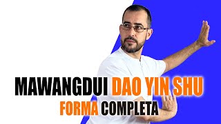 MAWANGDUI Daoyin Shu Vídeo de demostración ❇️ [upl. by Akered]