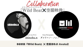 【空撮】コラボレーション 企画 shinobun 様の『WILD BEAT』 [upl. by Eissel]