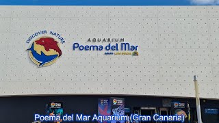 Poema del Mar Aquarium Gran Canaria  4K [upl. by Euqor]