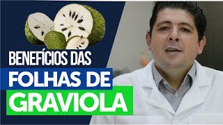 Os benefícios do chá das folhas de graviola no combate ao câncer [upl. by Esinart67]