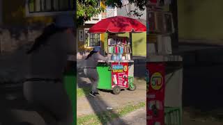 El panal 🍯 de avispas 🐝 africanas 🌍 juguetona 🙃 solo es reflexión 🤔🌍 viralvideo funny comedy [upl. by Latreshia]