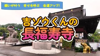 【吉ゾウくんの長福寿寺】「あなたを幸せなお金持ちにする！」「あなたの願いを叶える！」それが長福寿寺の「吉ゾウくん」です。 [upl. by Tarazi]