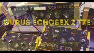 Gurus Echosex 2º T7E  Binson Echorec Pedal  First Guitar Demo [upl. by Ann-Marie106]